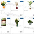 01 Promoções-Descontos-41164.jpg